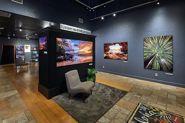 Maui Art Galleries