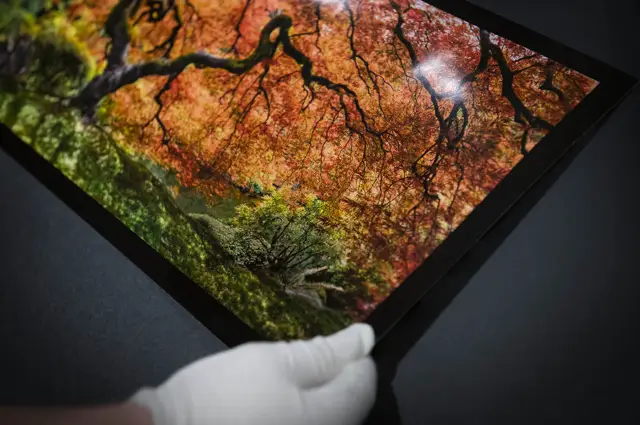 Is FujiFlex an Ultimate Photo Paper?